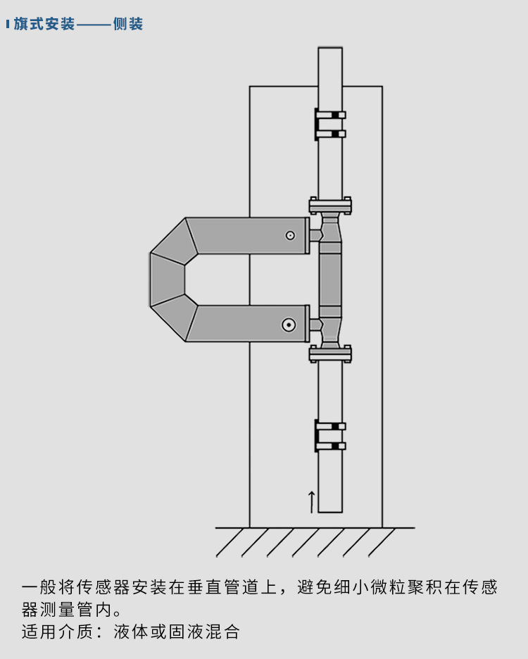 氫氣質(zhì)量流量計(jì)垂直安裝示意圖